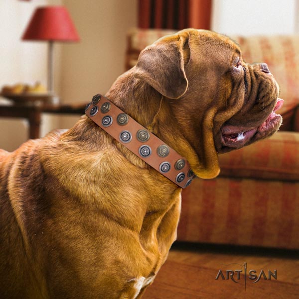 Dogue de Bordeaux unique full grain leather collar for walking