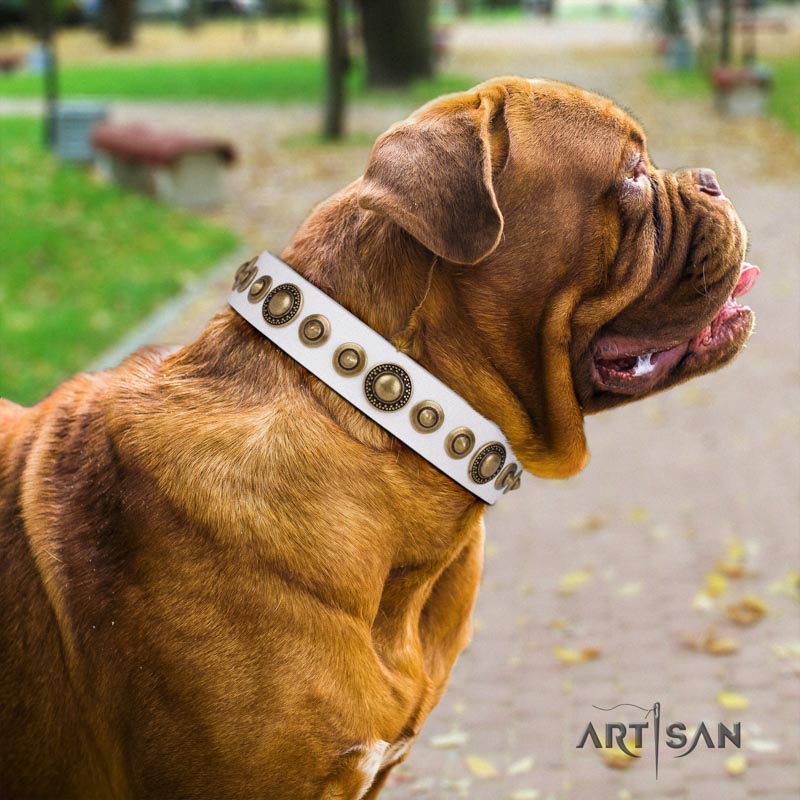 Swirl of Fashion FDT Artisan Delicate White Leather Dogue de Bordeaux Collar with Stunning