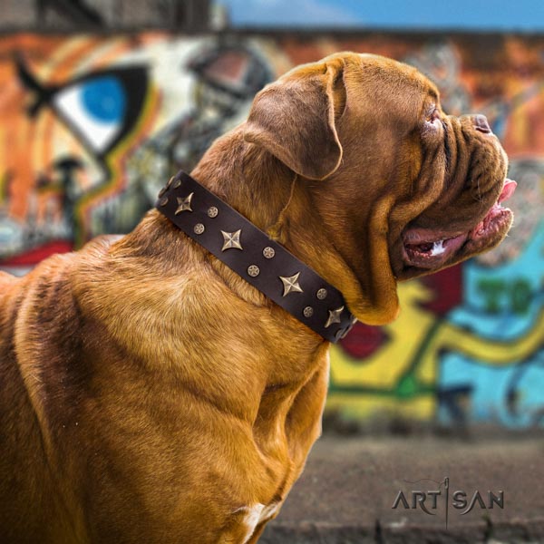 Dogue de Bordeaux impressive full grain genuine leather collar for daily use