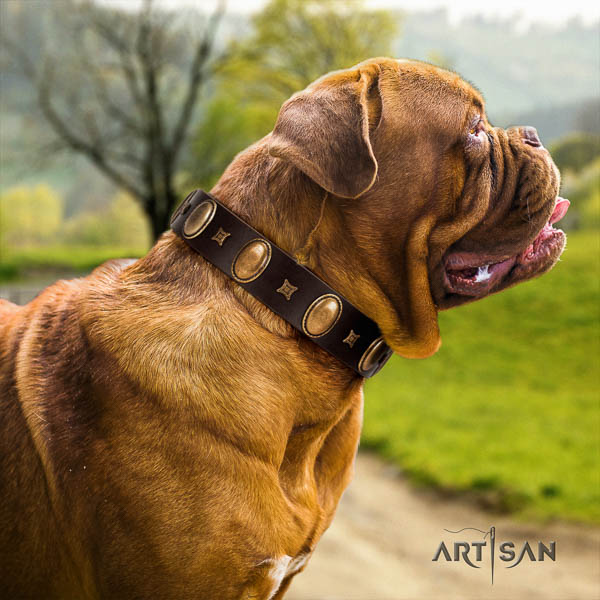 Dogue de Bordeaux studded full grain natural leather dog collar for your attractive four-legged friend