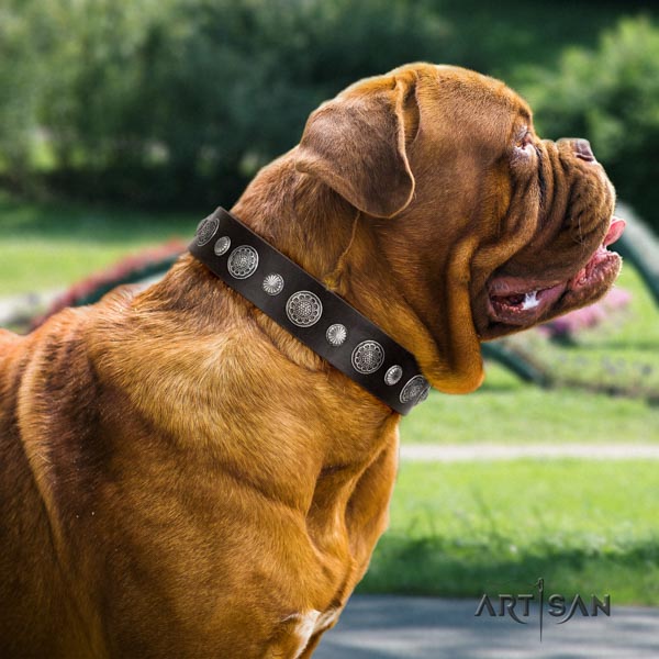 Dogue de Bordeaux designer full grain leather collar for stylish walking