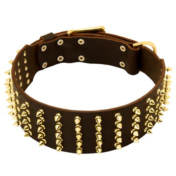 Fashionable Spiked Leather Dogue de Bordeaux Collar