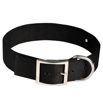 Dogue de Bordeaux Training Collar with ID Tag