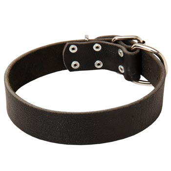 Unbelievable Dogue de Bordeaux Strict Style Leather Dog  Collar