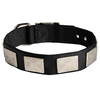   Dogue de Bordeaux Collar Nickel Vintage with Plates