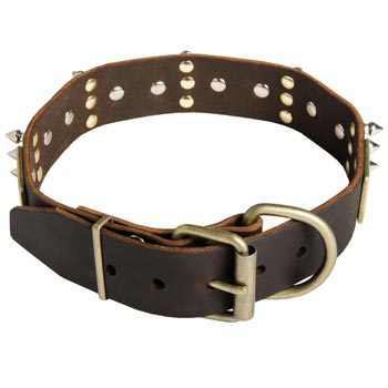 Spiked Leather Dogue de Bordeaux Collar