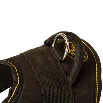 Heavy Duty Handle of Dogue de Bordeaux Harness