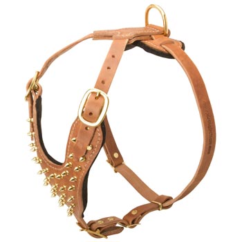 Walking Leather Harness for Dogue de Bordeaux