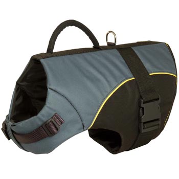 Rehabilitation Nylon Dogue de Bordeaux Vest