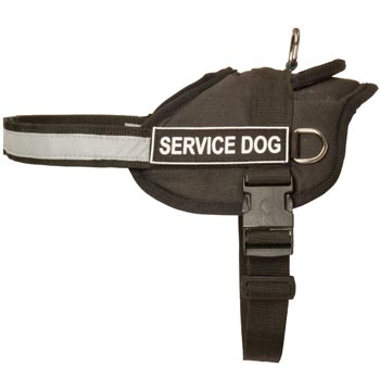 Dogue de Bordeaux Harness Nylon with Reflective Strap