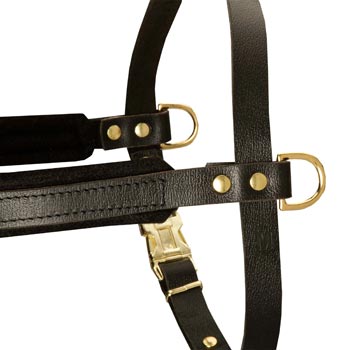 Training Pulling Dogue de Bordeaux Harness with Sewn-In Side D-Rings