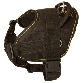 Tracking Nylon Dogue de Bordeaux Harness