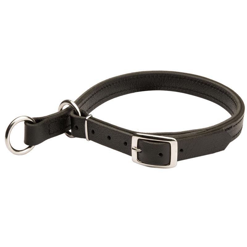 Leather Dogue de Bordeaux Choke Collar for Effective Training