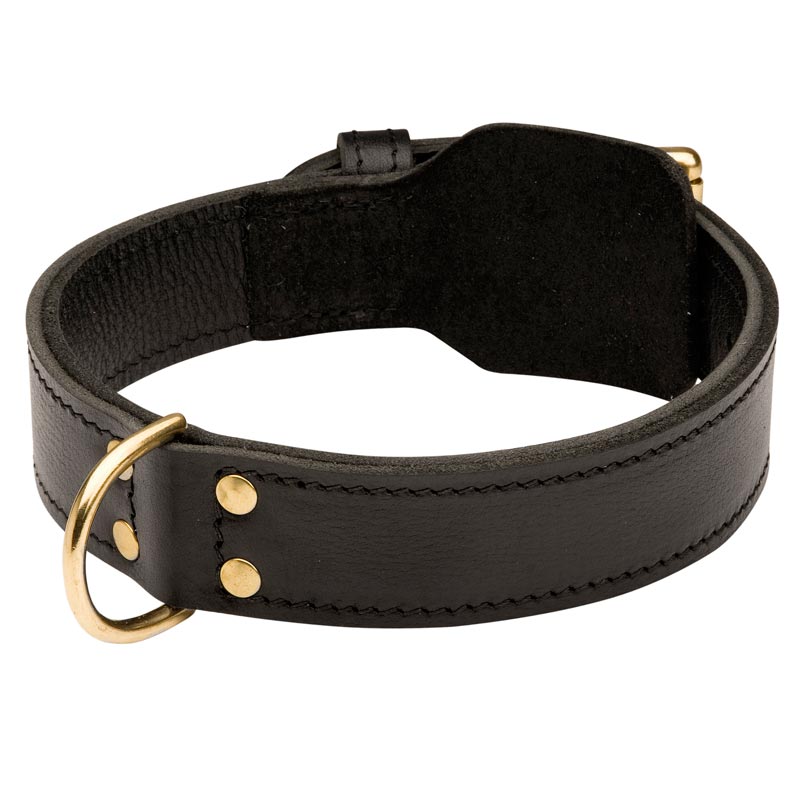 Training 2 Ply Leather Dogue de Bordeaux Collar