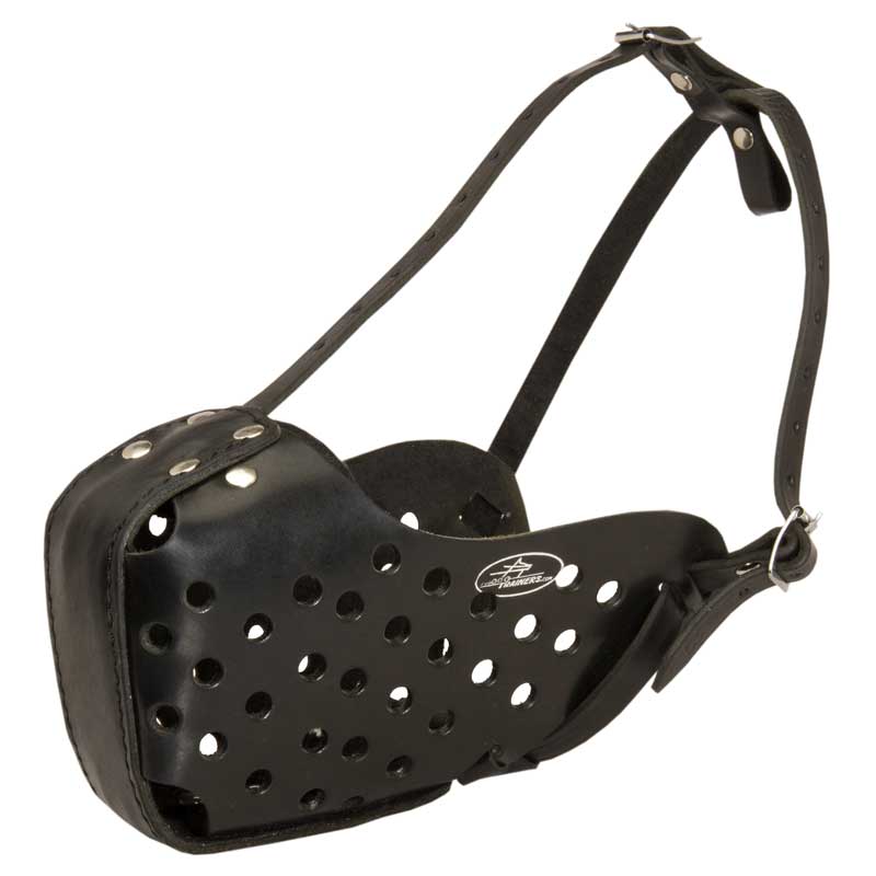 Muzzle for dogue de bordeaux outlet