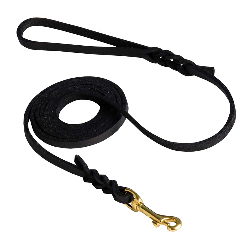 Dogue de Bordeaux Leash Braided at Either End for Dog Shows