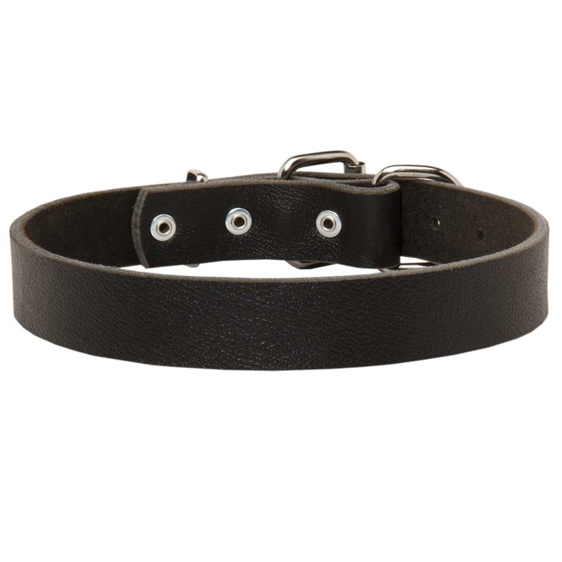 Leather Dogue de Bordeaux Collar for Walking and Training