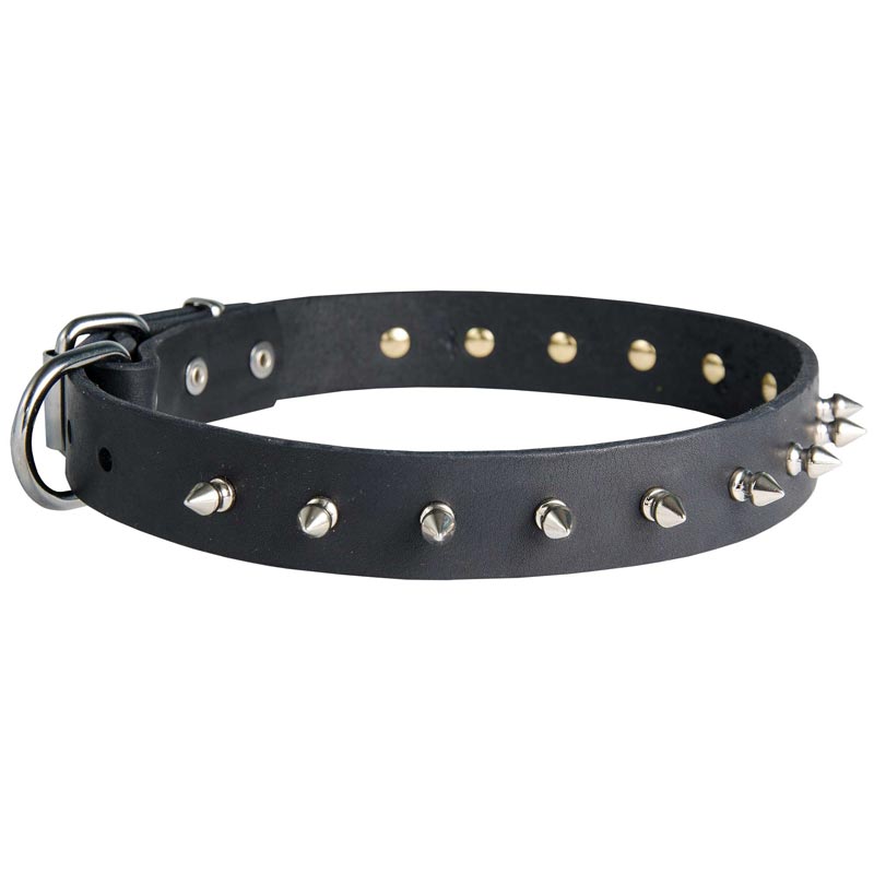 Dogue de Bordeaux Leather Collar Spiked 30 mm
