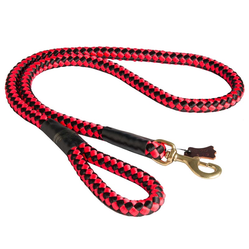 Nylon Cord Dogue de Bordeaux Leash for Walking and Training