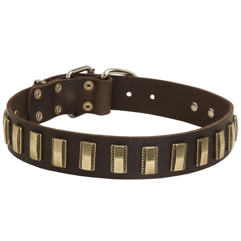 Leather Dogue de Bordeaux Collar with Small Brass Plates