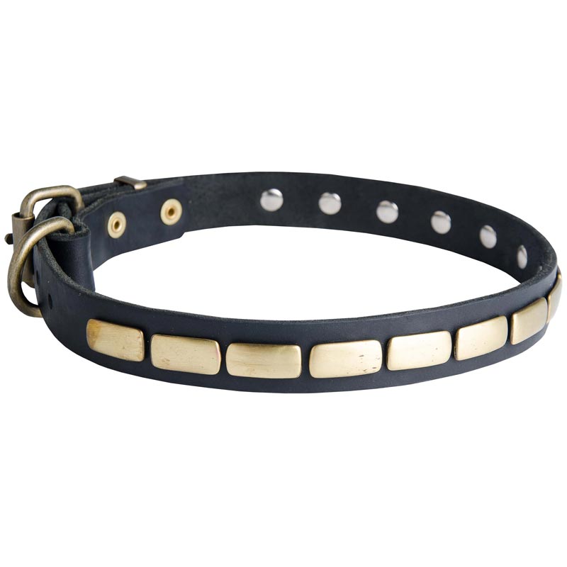 Elegant Leather Dogue de Bordeaux Collar with Brass Plates