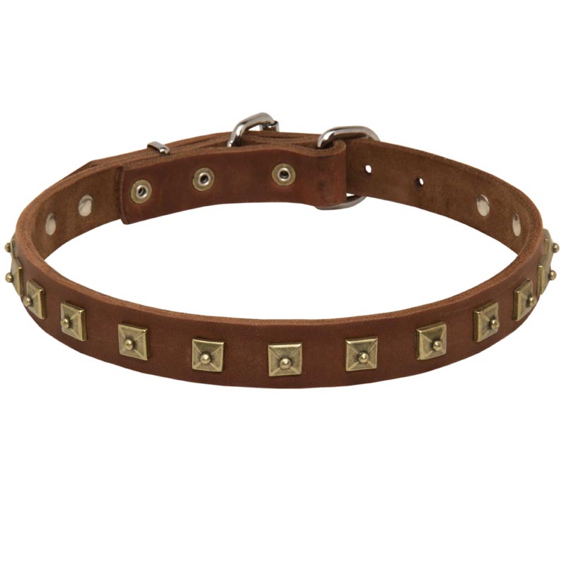 Handcrafted Leather Dogue de Bordeaux Collar with "Caterpillar" Studs