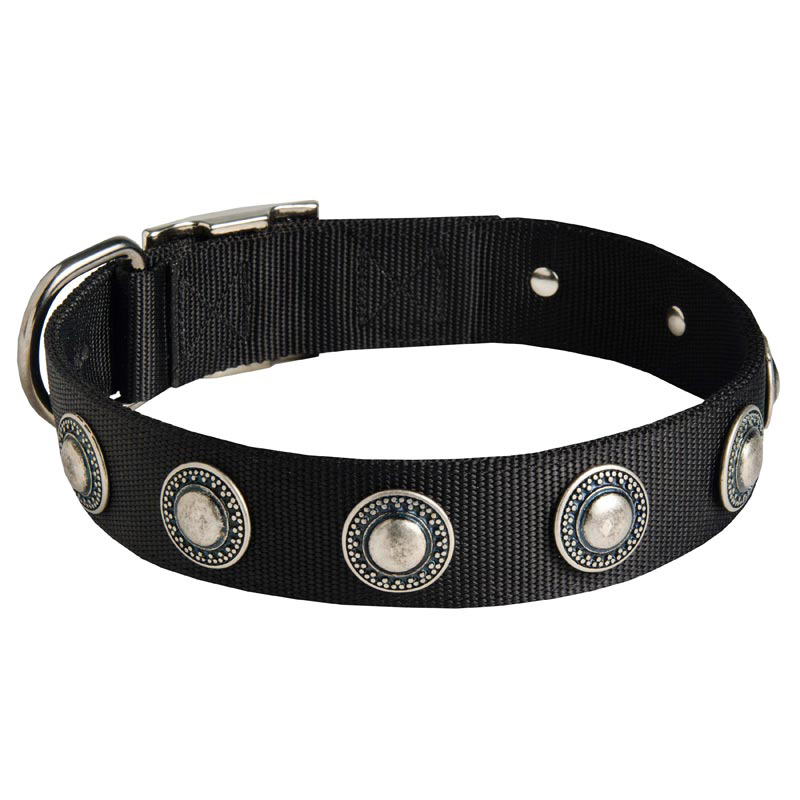Dogue de Bordeaux Nylon Dog Collar with Circles Decoration