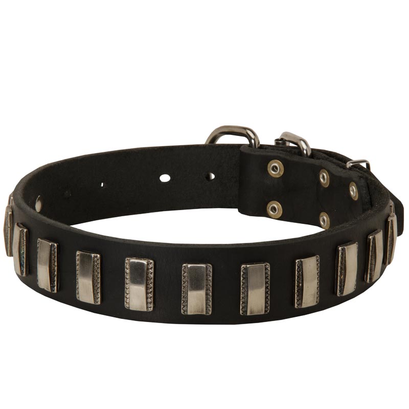 Leather Dogue de Bordeaux Collar with Shiny Plates