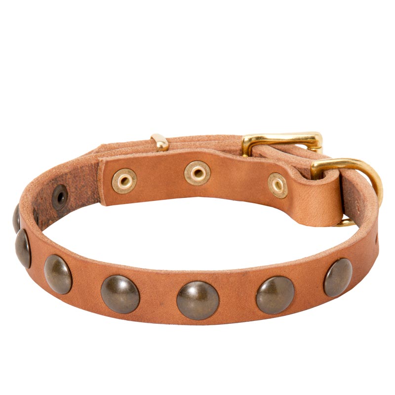 Leather Dogue de Bordeaux Collar with Brass Half-Ball Studs