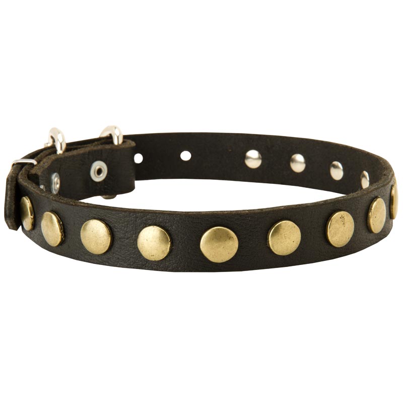 Leather Dogue de Bordeaux Collar with Brass Studs