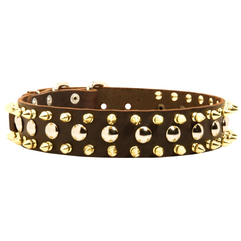 Spiked and Studded Dogue de Bordeaux Leather Collar