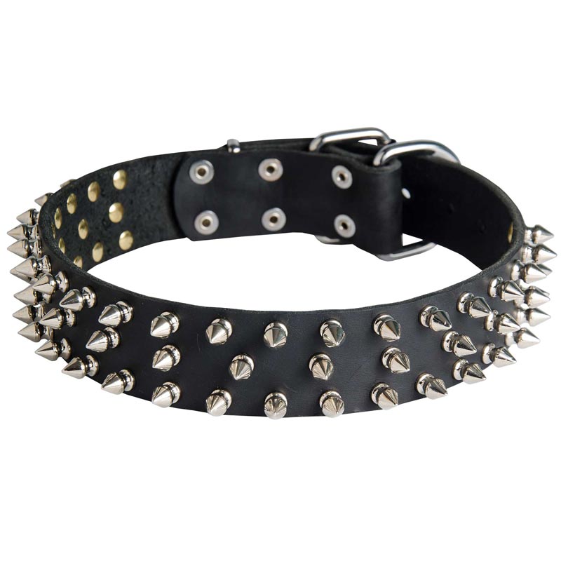 Leather Dogue de Bordeaux Collar with 3 Rows of Nickel Spikes