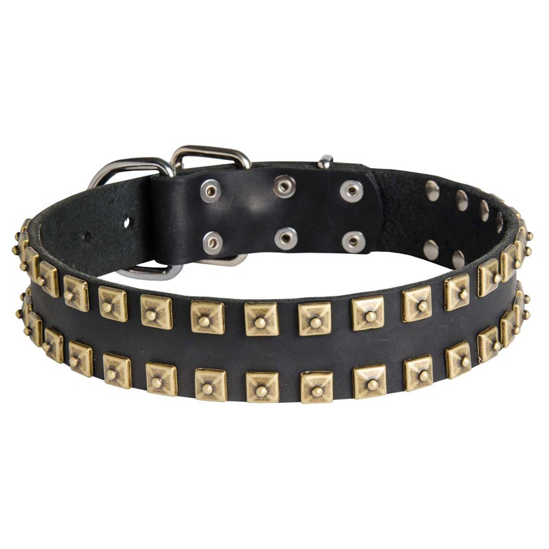 Leather Dogue de Bordeaux Collar with Brass Caterpillar Studs
