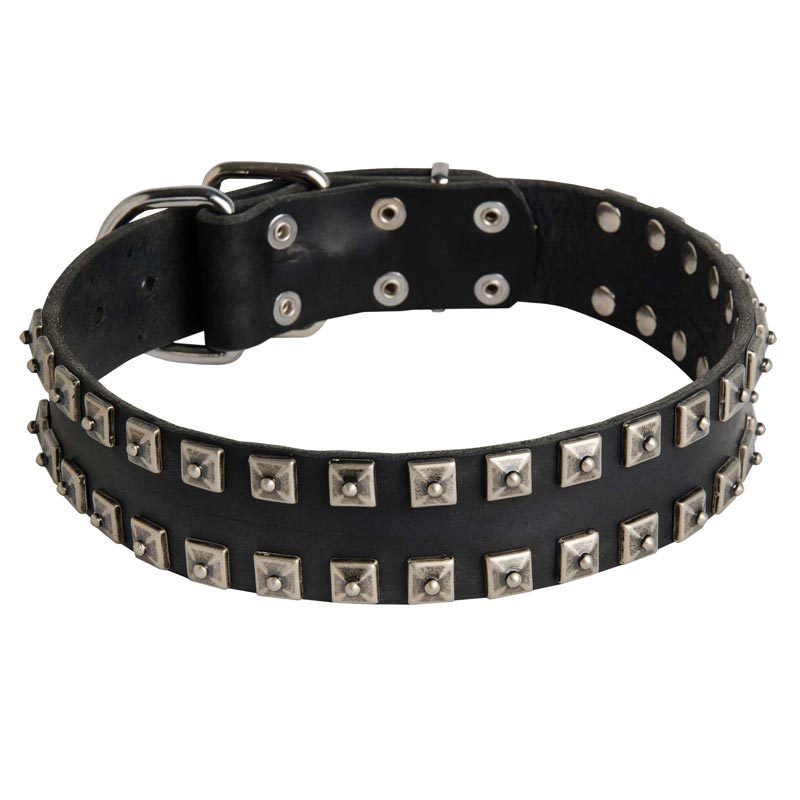 Leather Dogue de Bordeaux Collar with "Caterpillar" Studs