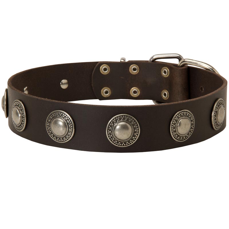 Leather Dogue de Bordeaux Collar with Decorative Circles