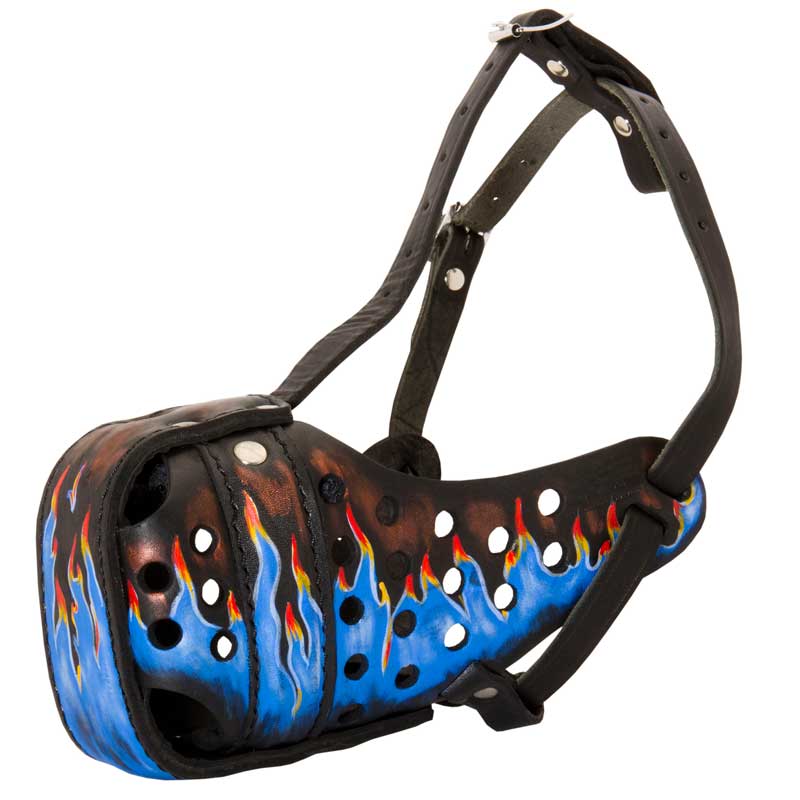 Ergonomic Design Leather Dogue de Bordeaux Muzzle for Agitation Training