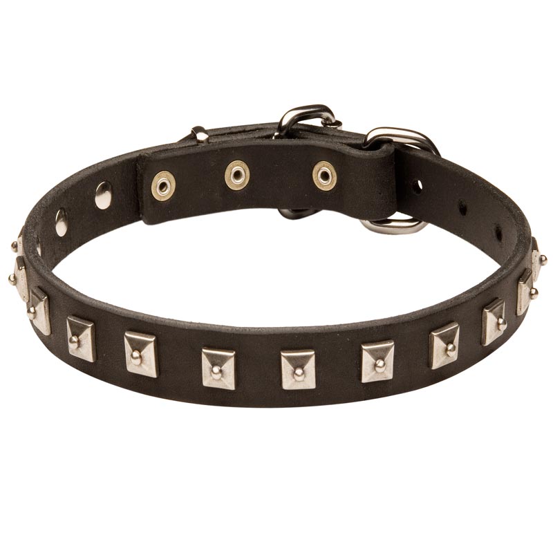Dogue de Bordeaux Leather Collar Caterpillar Design