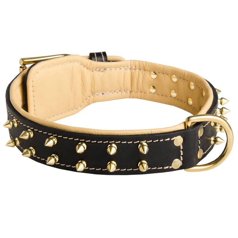 Royal Leather Dogue de Bordeaux Collar Spiked Padded with Nappa Leather