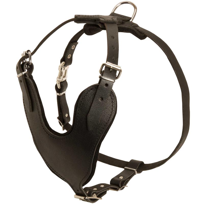 Adjustable Leather Dogue de Bordeaux Harness for Attack / Agitation Training