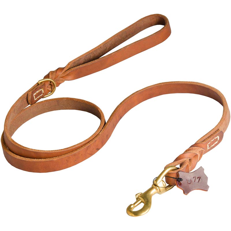 Walking and Training Leather Dogue de Bordeaux Leash with Comfy Handle