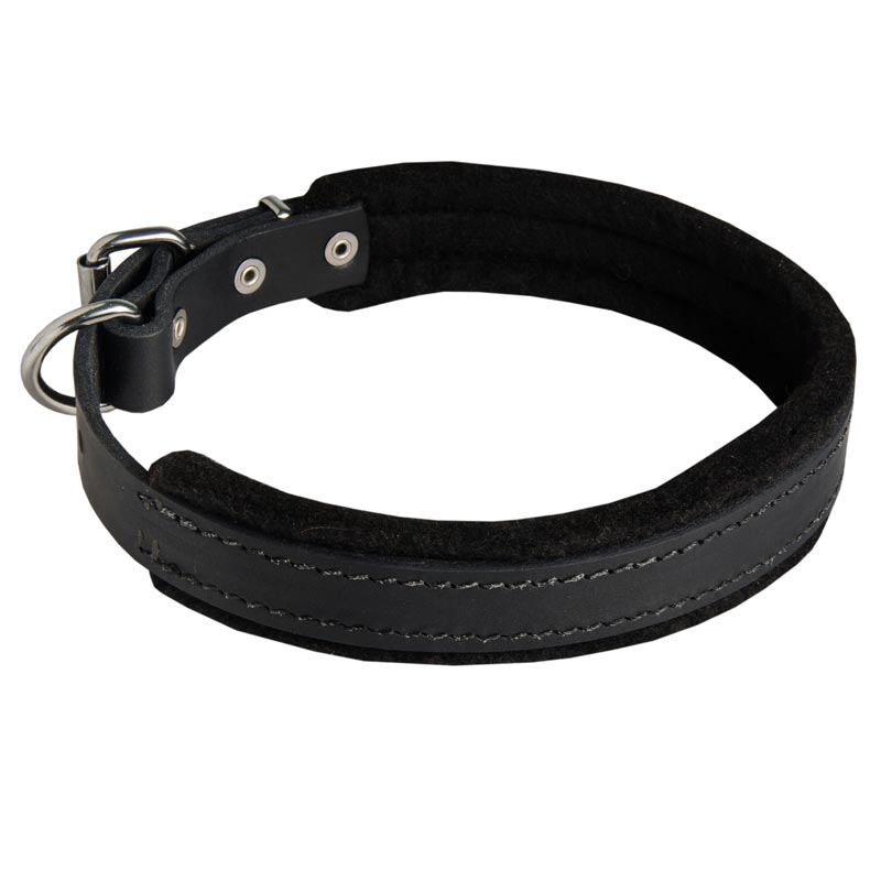 Padded Leather Dogue de Bordeaux Collar for Dog Training