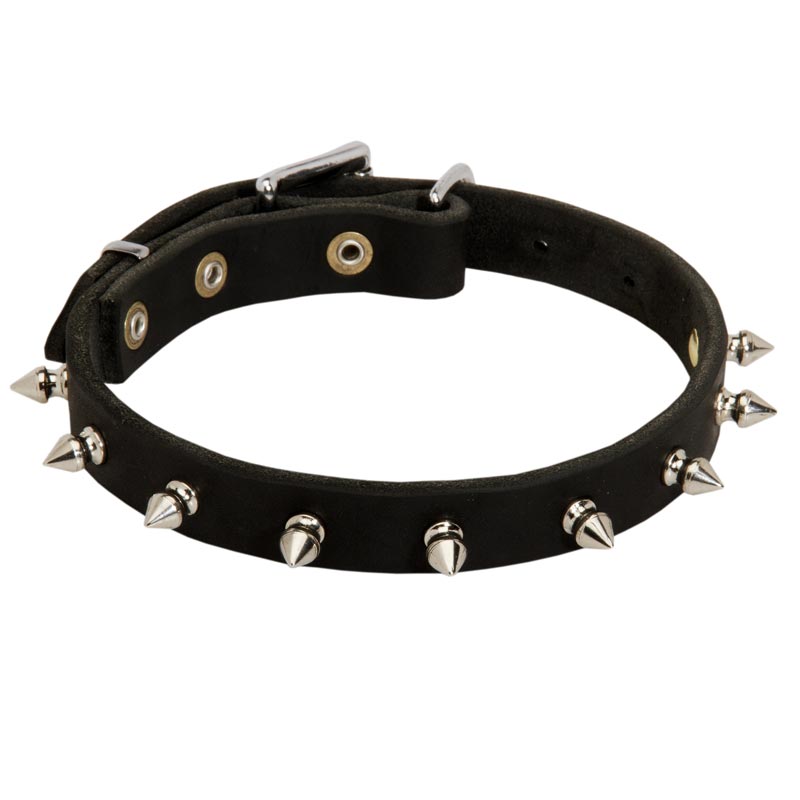 Stylish Spiked Leather Dogue de Bordeaux Collar for Walking