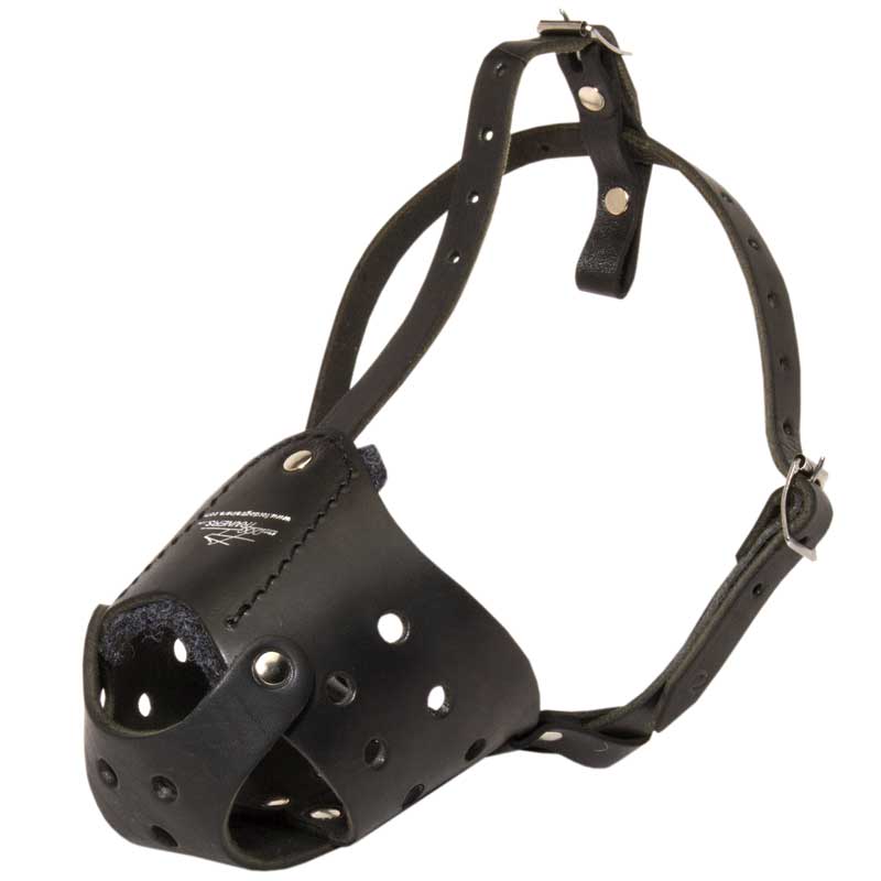 Dogue de bordeaux muzzle shop