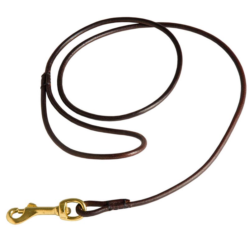 Fully Beneficial Show Leather Dogue de Bordeaux Leash - Comfort for You and Your Dog