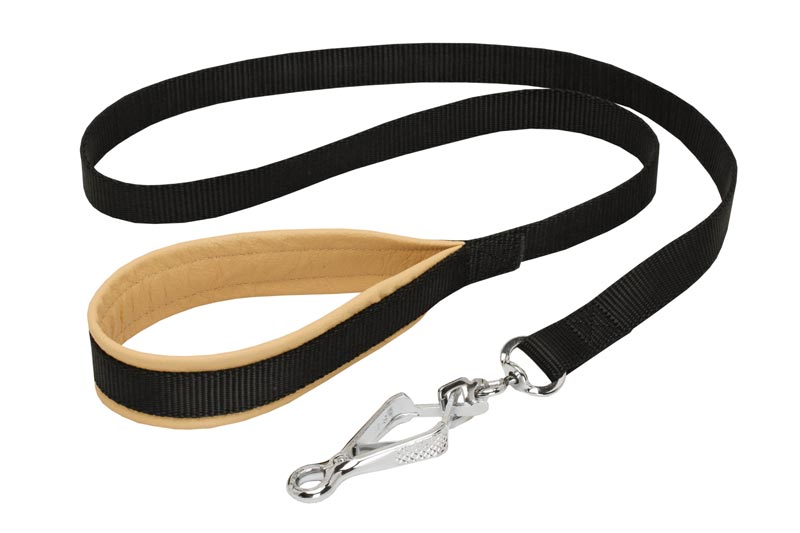 Nylon Dogue de Bordeaux Leash with Support Material on the Handle for Walking and Training