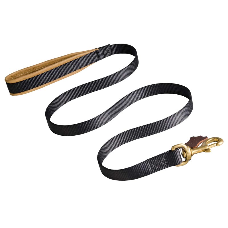 20 mm Nylon Dogue de Bordeaux Leash with Support Leather Material on the Handle
