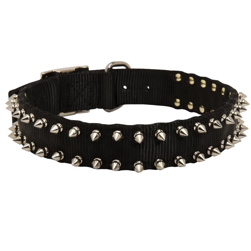 Dogue de Bordeaux Nylon Collar Spiked