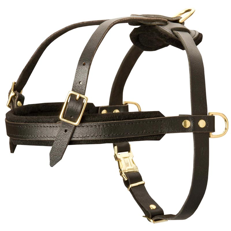Leather Dogue de Bordeaux Harness for Tracking and Pulling