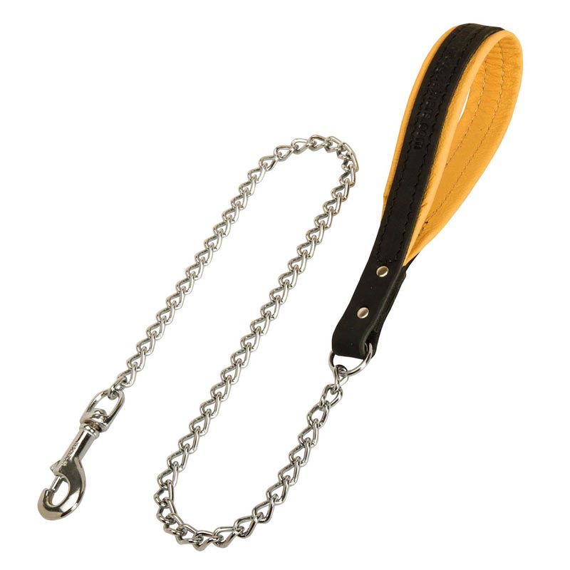 Dogue de Bordeaux Dog Leash with Leather Handle