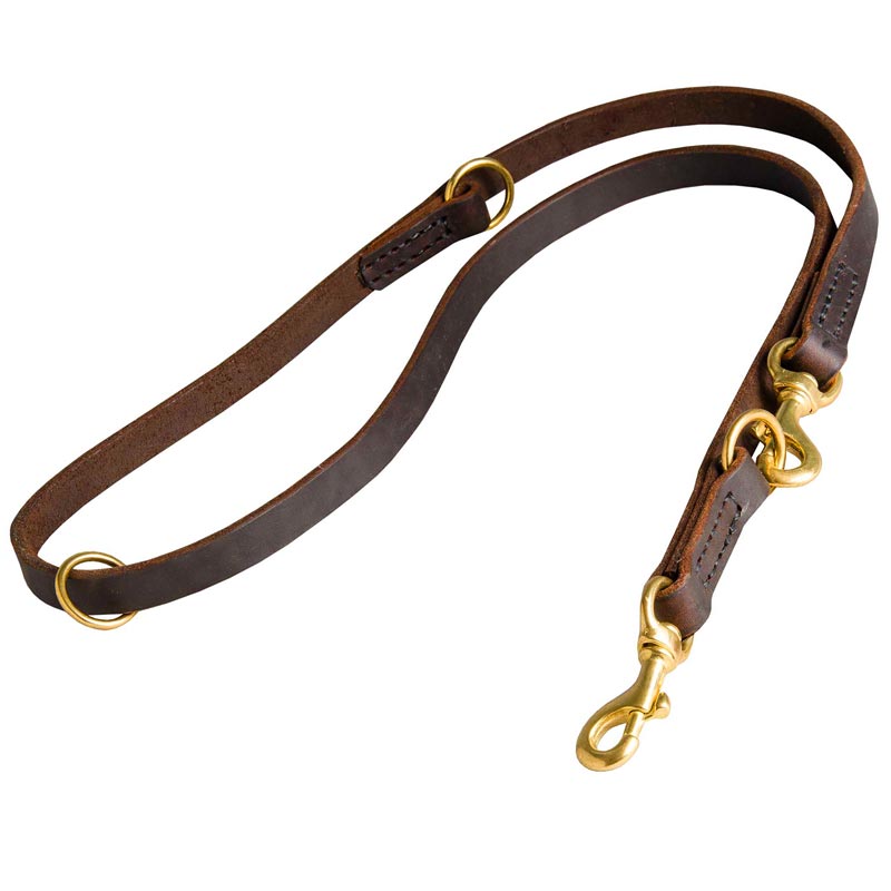 Multifunctional Leather Dogue de Bordeaux Leash